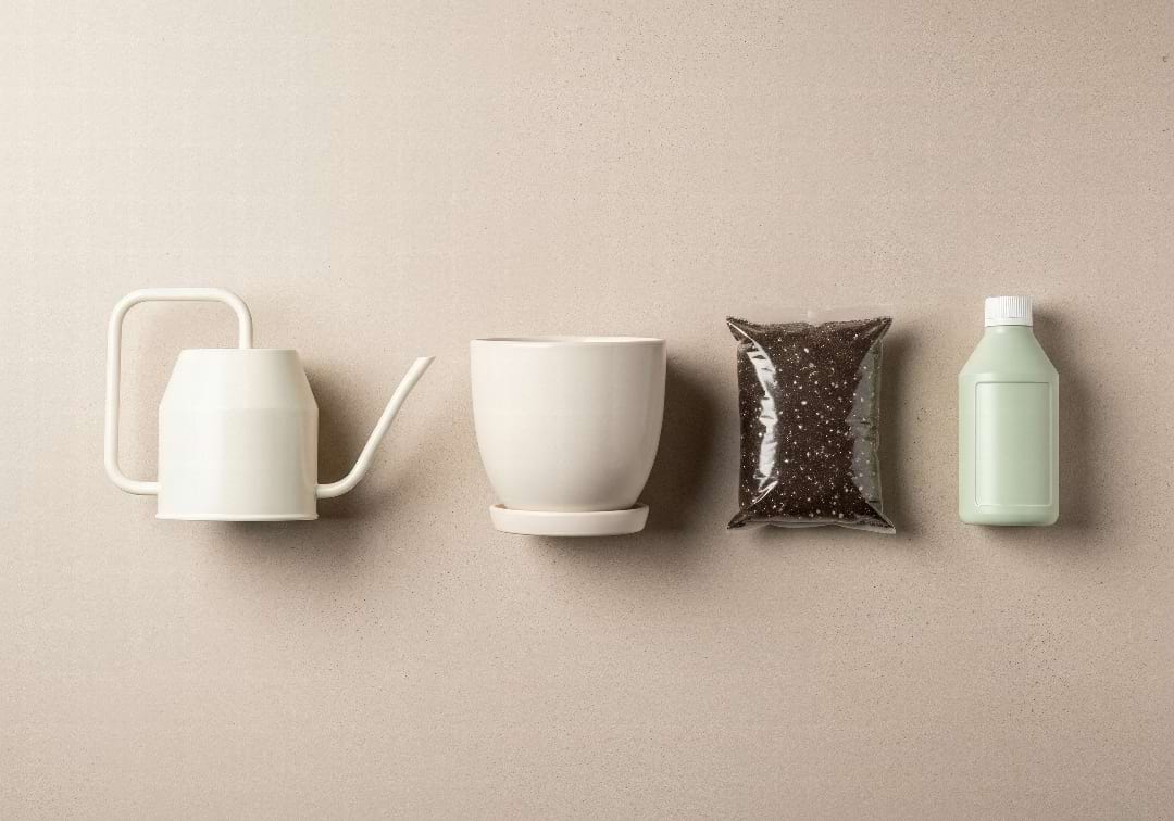 The Only 4 Plant Care Tools You Actually Need to Get Started