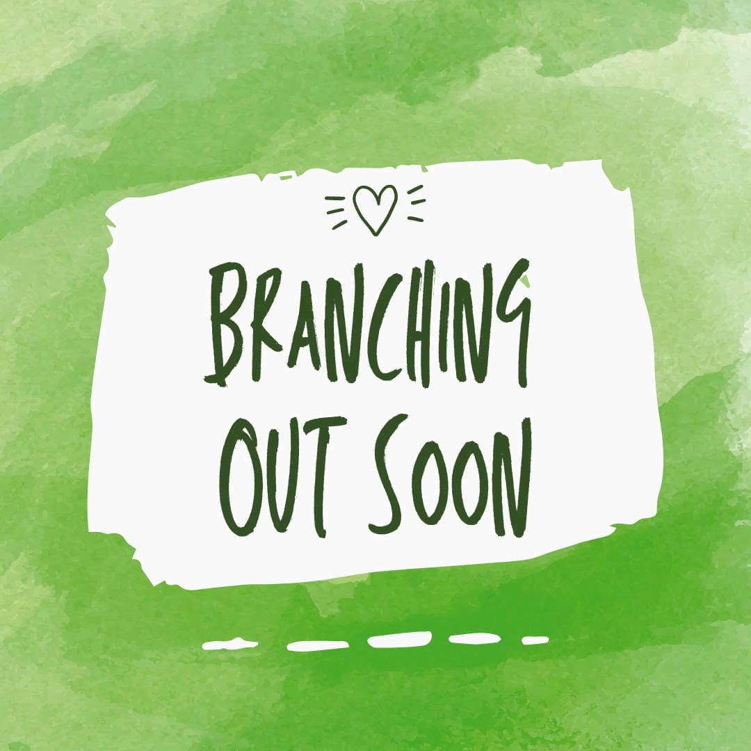 Nephrolepis exaltata ‘Corditas’ featuring small, heart-shaped or rounded leaflets on compact fronds.