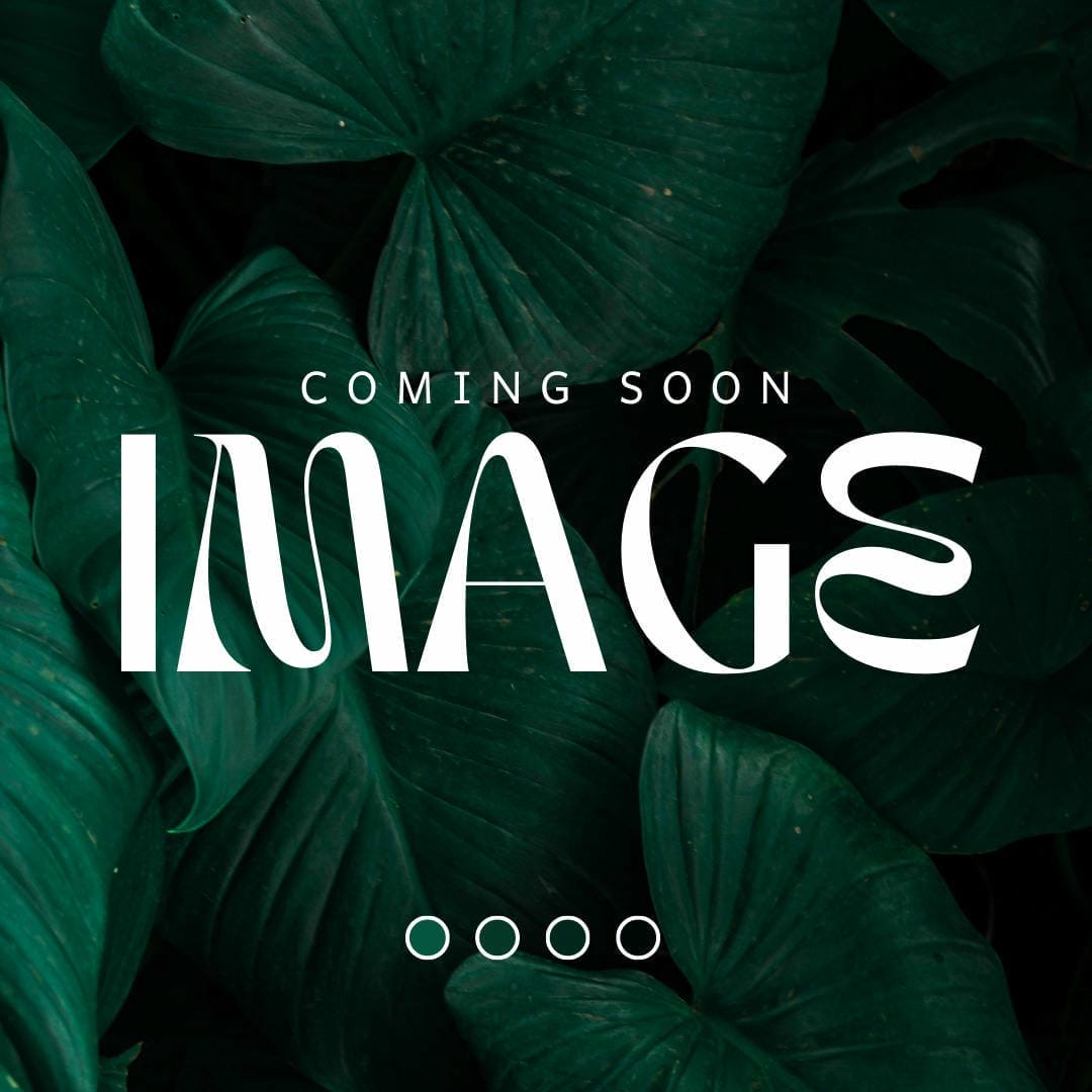 Nephrolepis exaltata ‘Fluffy Duffy’ showing its extremely dense, finely textured, ball-like form.