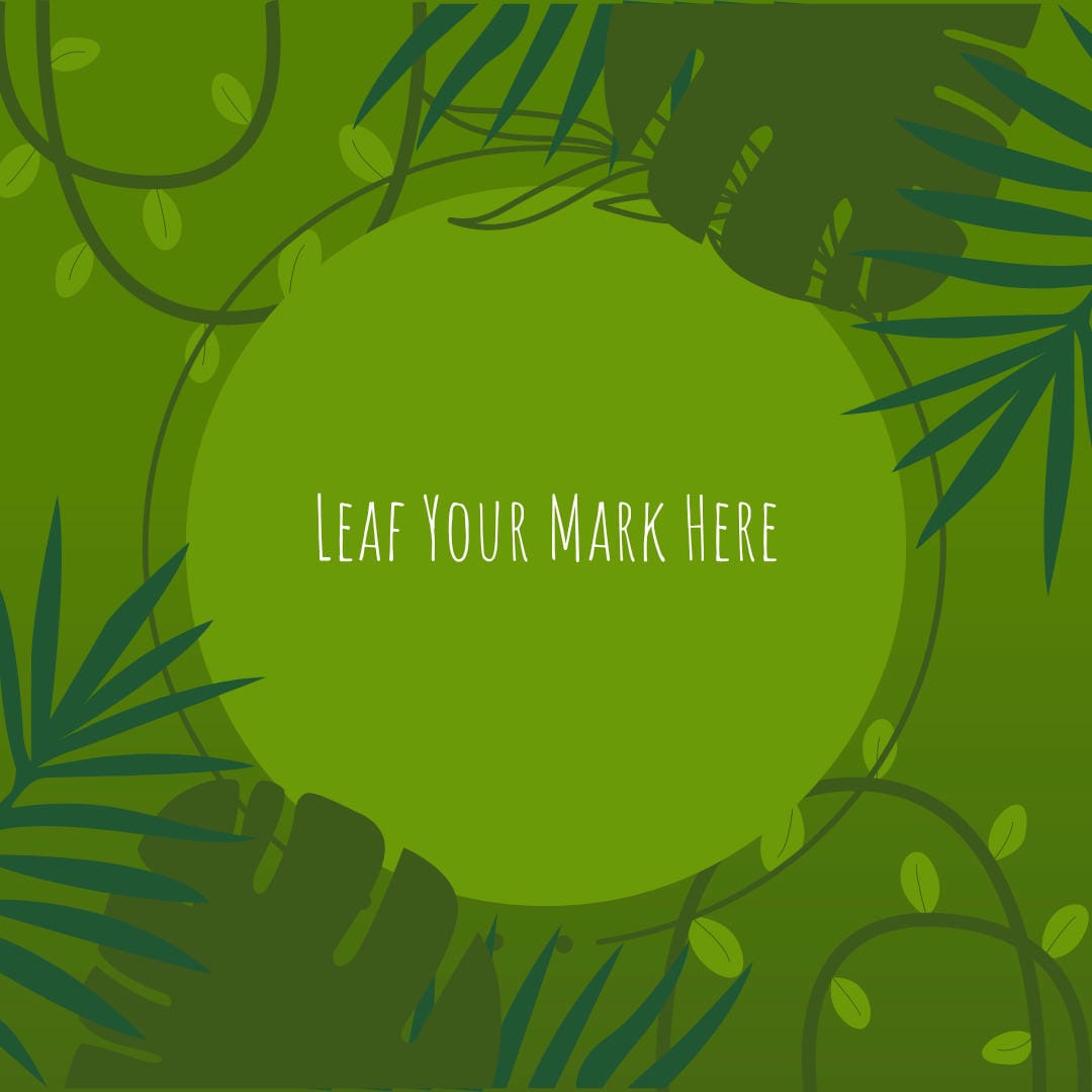 Nephrolepis exaltata ‘Golden Boston’ featuring fronds with a distinct golden-yellow or chartreuse hue.