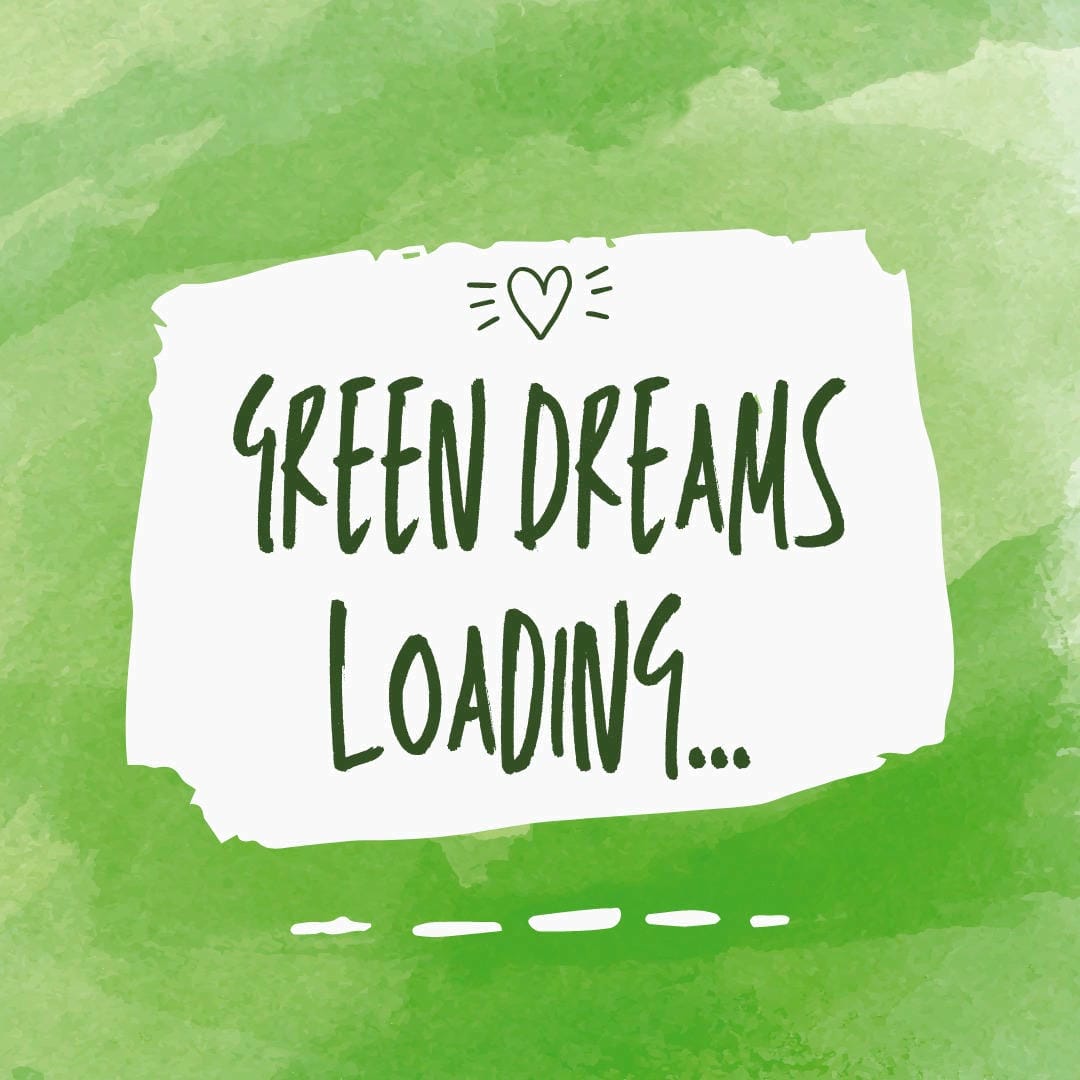 Nephrolepis exaltata ‘Macho’, a large and robust fern with broad, arching fronds.