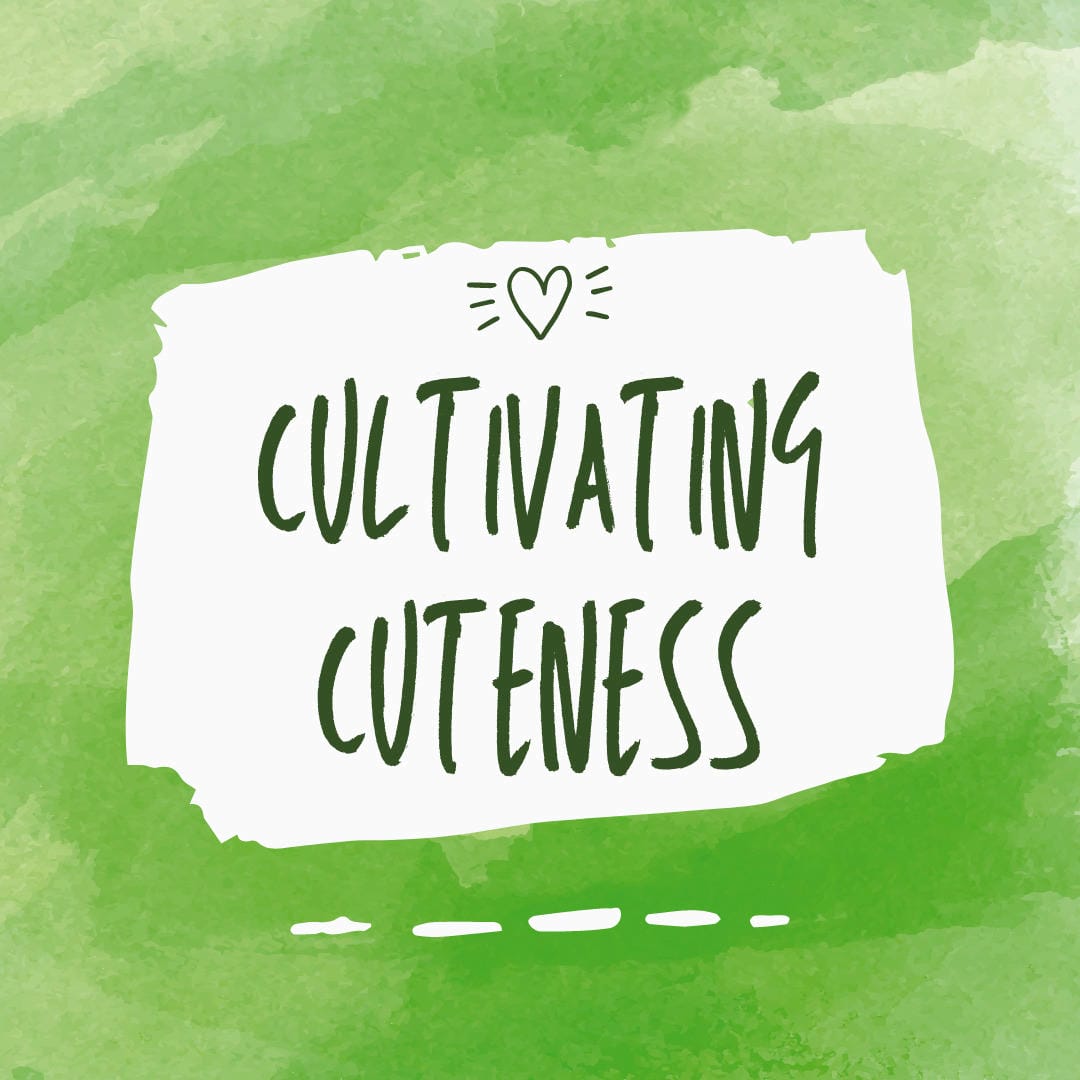 Nephrolepis exaltata ‘Regina’ displaying queenly, elegant, and possibly crested fronds.