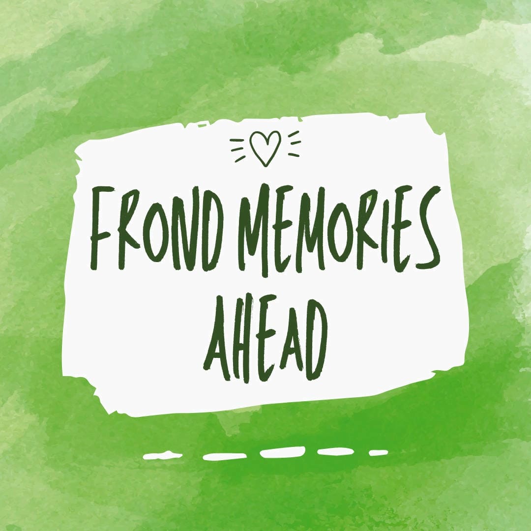 Nephrolepis exaltata ‘Vitale’ fern displaying its vigorous and lush green fronds.