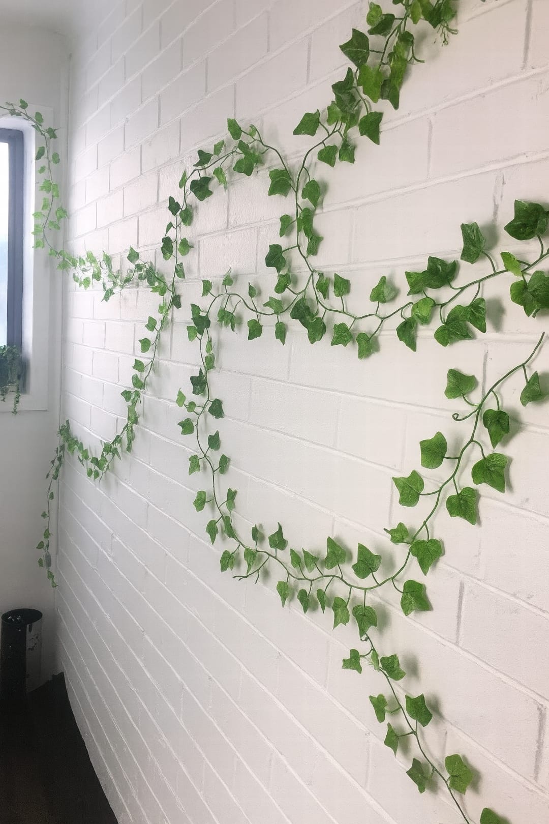 A mature English Ivy with large, dark green leaves climbing up an indoor wall trellis