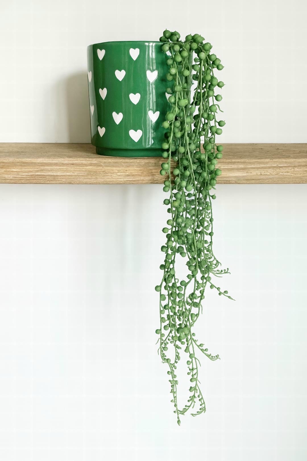 A String of Pearls plant sitting on the edge of a high, brightly lit shelf, with its long strands trailing down elegantly.