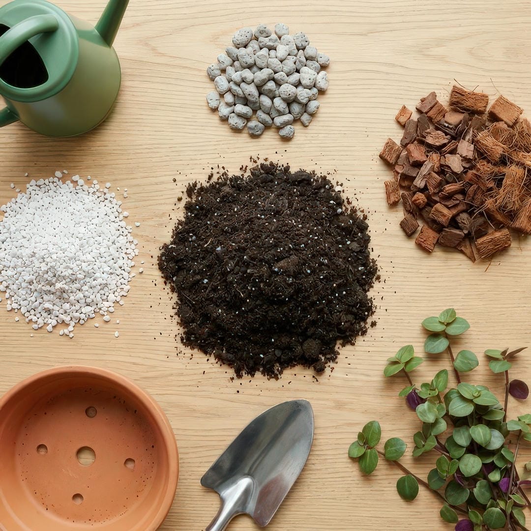 Components of ideal Turtle Vine potting mix including soil, perlite, and drainage materials
